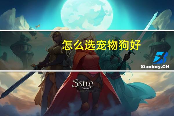 怎么选宠物狗好
