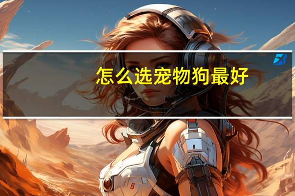 怎么选宠物狗最好