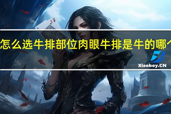 怎么选牛排部位 肉眼牛排是牛的哪个部位