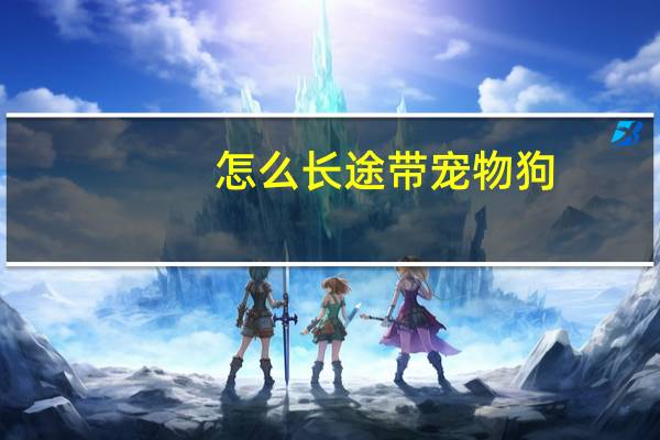 怎么长途带宠物狗