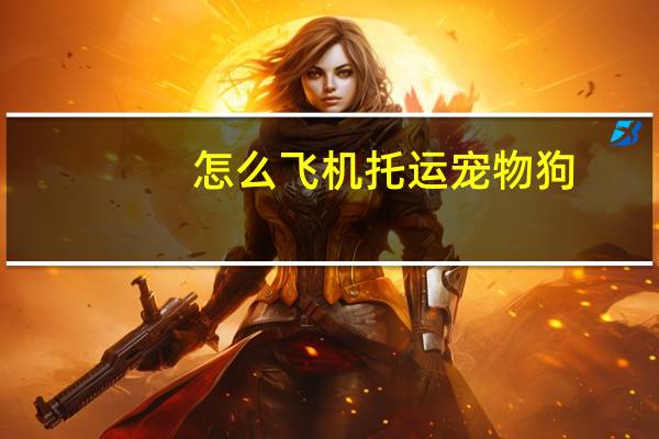 怎么飞机托运宠物狗