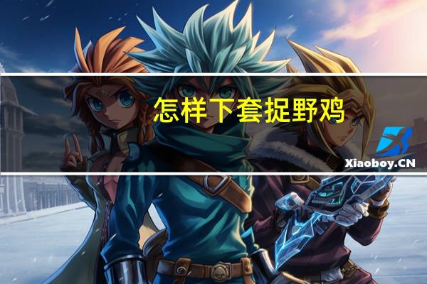 怎样下套捉野鸡
