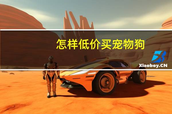 怎样低价买宠物狗