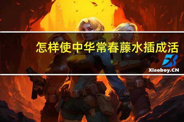 怎样使中华常春藤水插成活