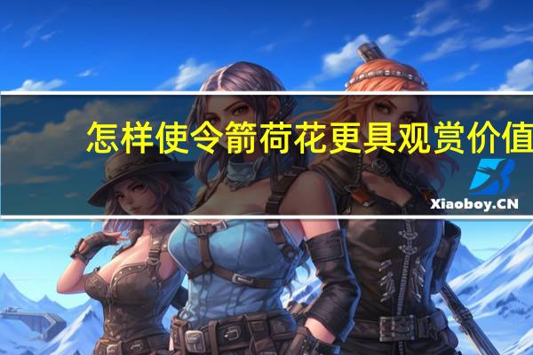 怎样使令箭荷花更具观赏价值
