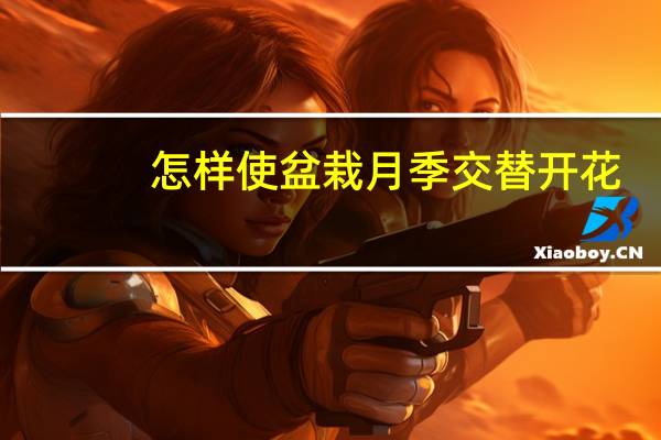 怎样使盆栽月季交替开花