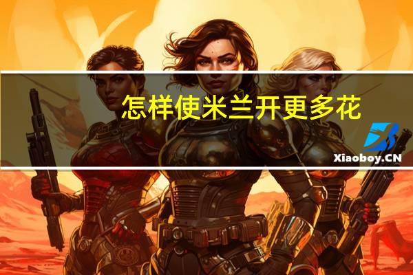怎样使米兰开更多花：充足的阳光,合理的温度加合理的浇水