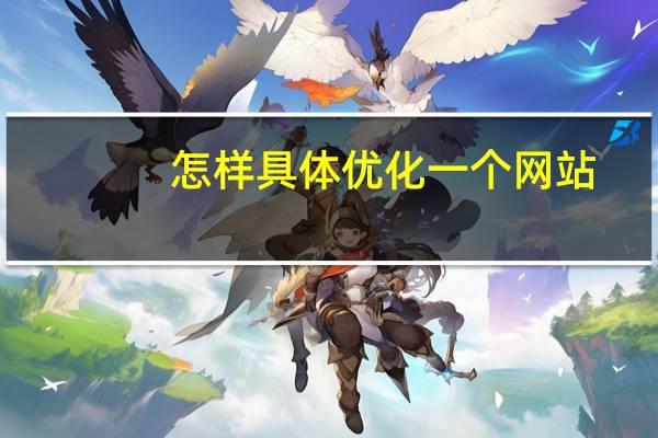 怎样具体优化一个网站