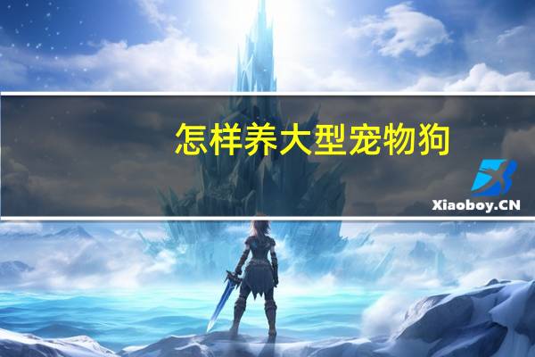 怎样养大型宠物狗