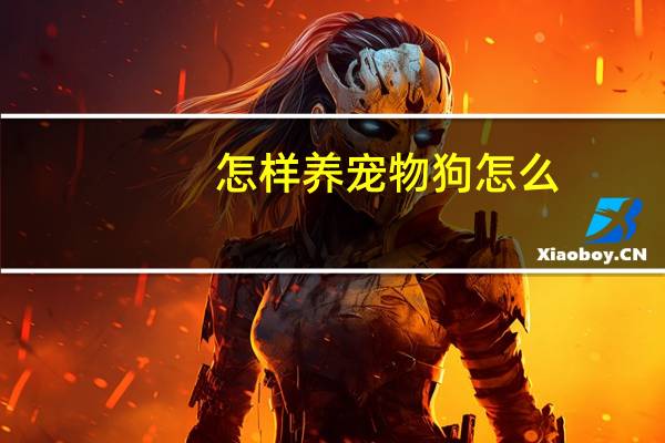 怎样养宠物狗怎么