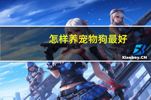 怎样养宠物狗最好