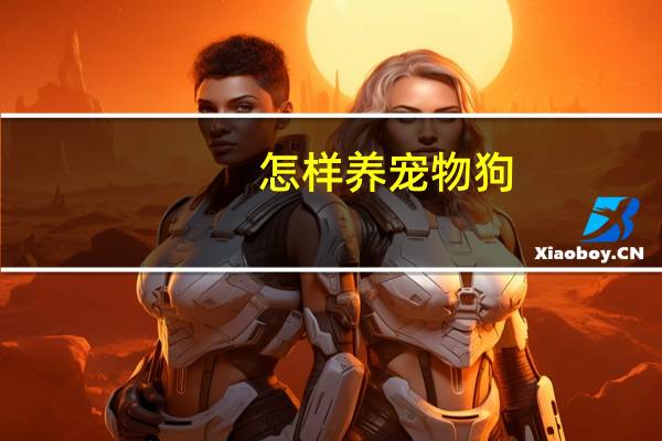 怎样养宠物狗