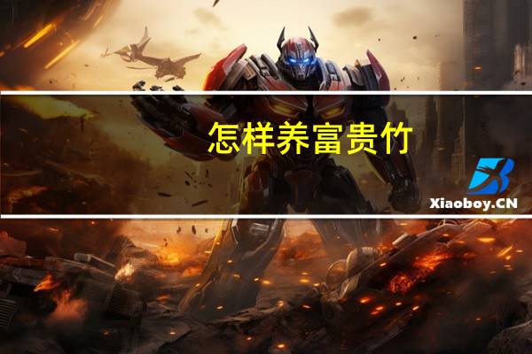 怎样养富贵竹