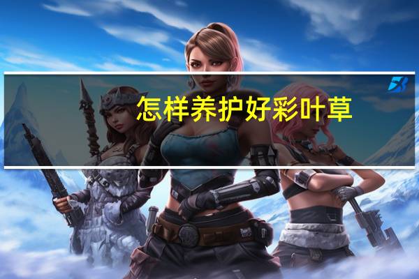 怎样养护好彩叶草