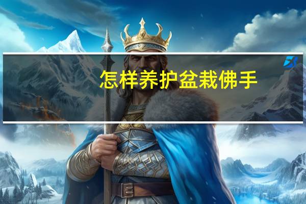 怎样养护盆栽佛手