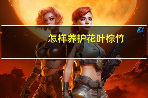 怎样养护花叶棕竹