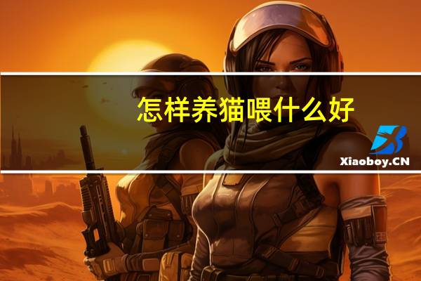 怎样养猫喂什么好