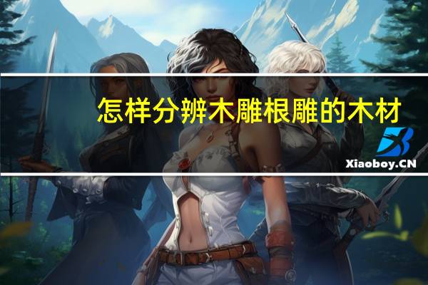 怎样分辨木雕根雕的木材