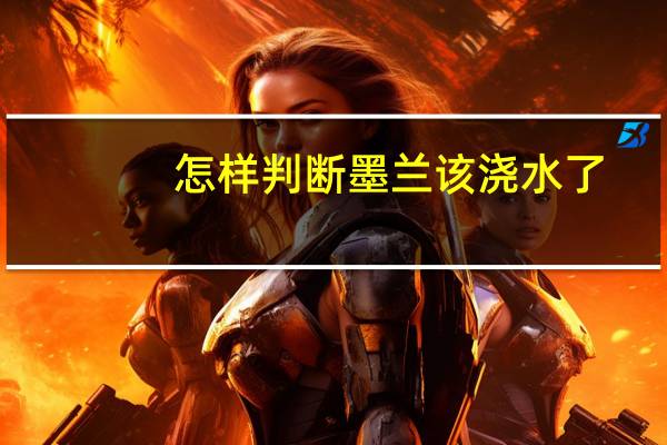 怎样判断墨兰该浇水了