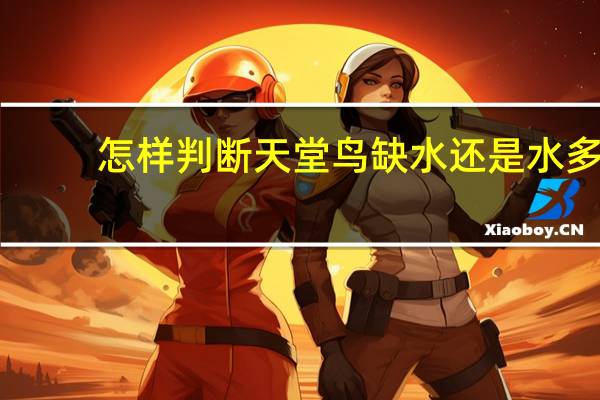 怎样判断天堂鸟缺水还是水多