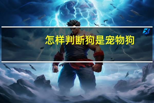 怎样判断狗是宠物狗