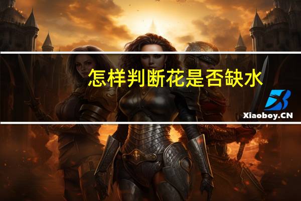 怎样判断花是否缺水