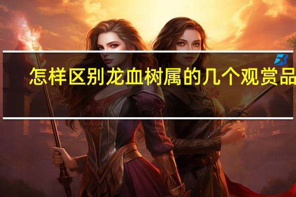 怎样区别龙血树属的几个观赏品种