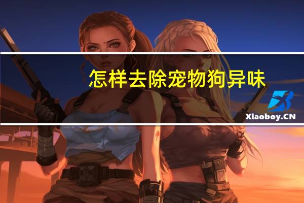 怎样去除宠物狗异味