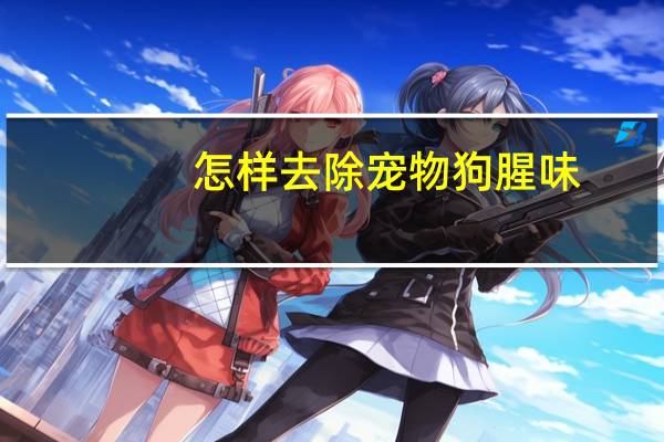 怎样去除宠物狗腥味