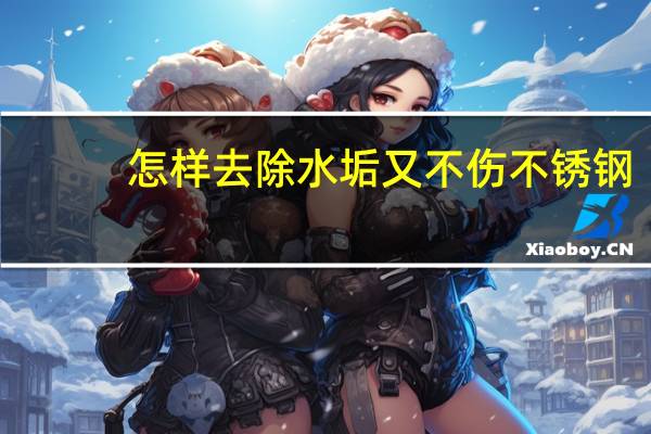 怎样去除水垢又不伤不锈钢