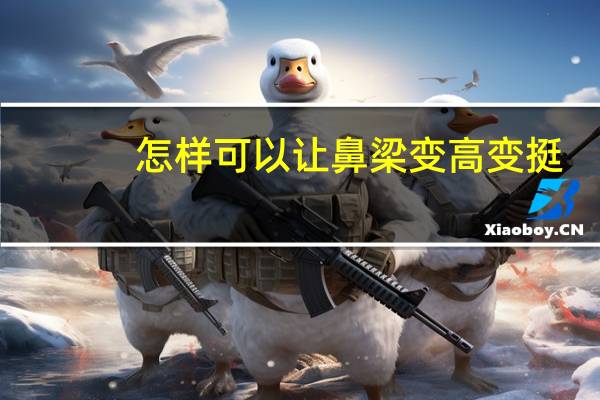 怎样可以让鼻梁变高变挺（怎么让鼻梁变高变挺）