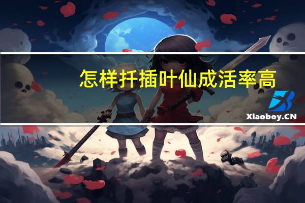 怎样扦插叶仙成活率高