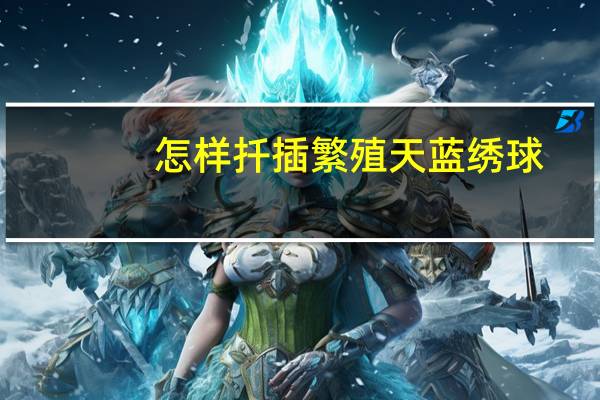 怎样扦插繁殖天蓝绣球