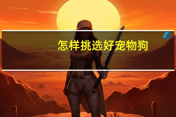 怎样挑选好宠物狗