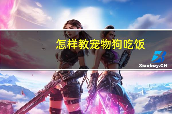 怎样教宠物狗吃饭