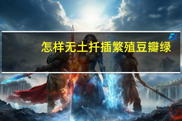 怎样无土扦插繁殖豆瓣绿