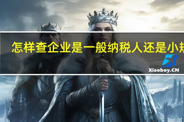 怎样查企业是一般纳税人还是小规模（怎么查询企业是一般纳税人还是小规模）