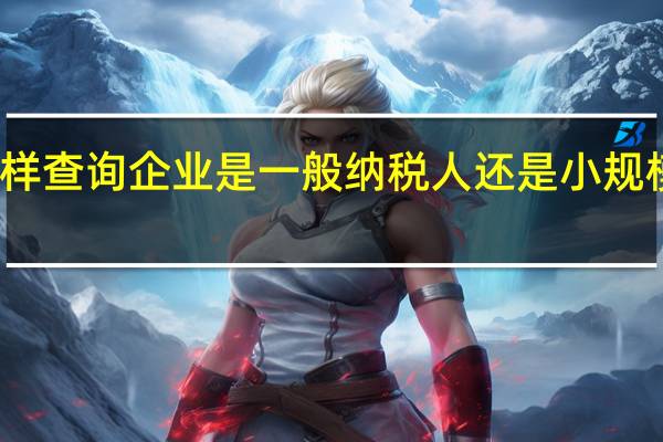 怎样查询企业是一般纳税人还是小规模纳税人（怎么查询企业是一般纳税人还是小规模纳税人）