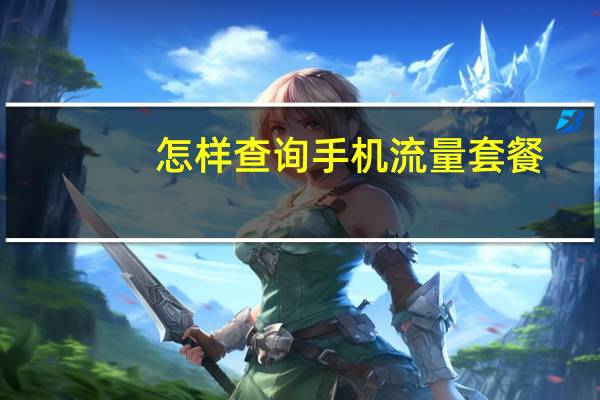 怎样查询手机流量套餐（怎样查询手机流量）
