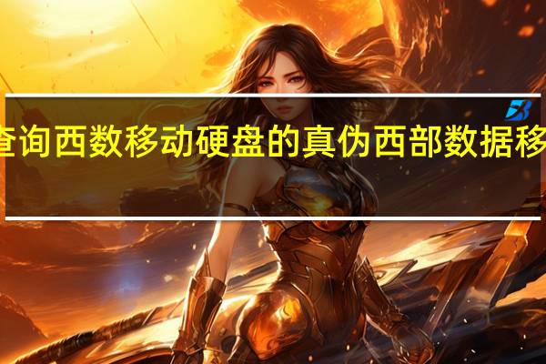 怎样查询西数移动硬盘的真伪 西部数据移动硬盘真伪