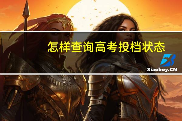 怎样查询高考投档状态