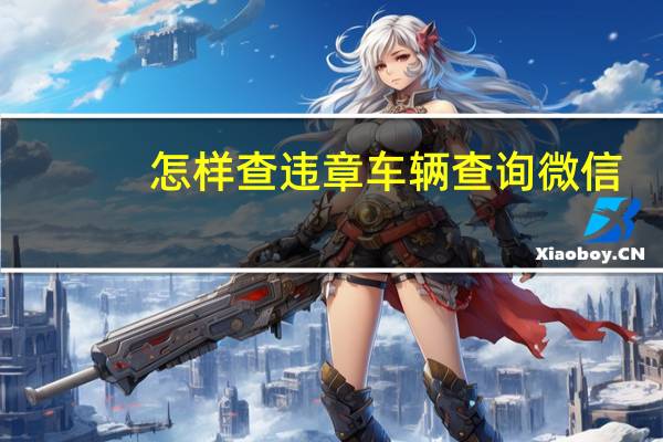 怎样查违章车辆查询微信(怎样查违章车辆查询)
