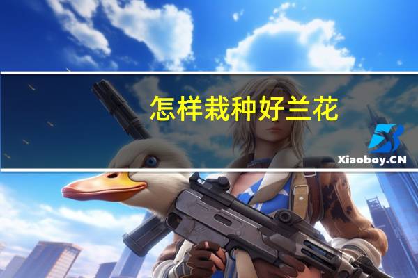 怎样栽种好兰花