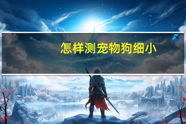 怎样测宠物狗细小