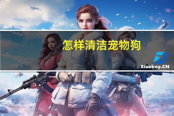 怎样清洁宠物狗