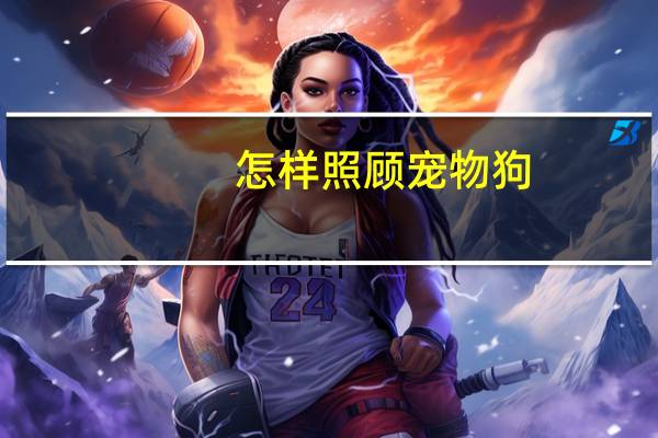 怎样照顾宠物狗
