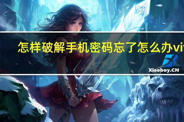 怎样破解手机密码忘了怎么办vivo（怎样破解手机密码）