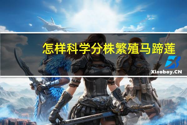 怎样科学分株繁殖马蹄莲
