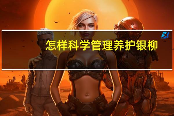 怎样科学管理养护银柳