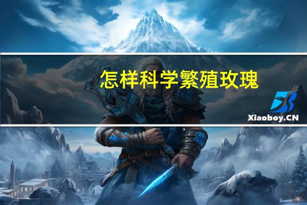 怎样科学繁殖玫瑰